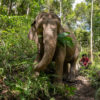 Adam Oswell_04