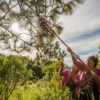 These women, who are part of the Mam indigenous community, are harvesting pine nuts in a forest in Cajolá, Quetzaltenango, to be sold later at a local market. Our work supports reforestation efforts and helps local families sustain themselves economically. Photo credit: Sergio Izquierdo