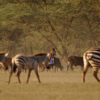 Photo credit: Samantha du Toit