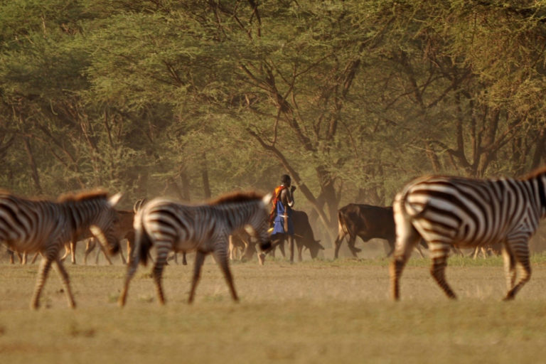 Photo credit: Samantha du Toit